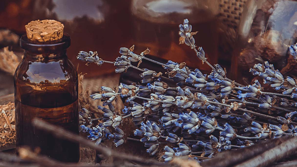 لوندر و یک شیشه روغن گیاهی